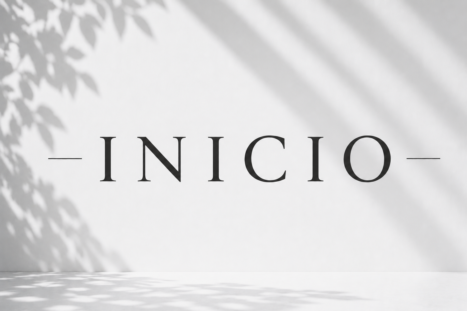 Inicio